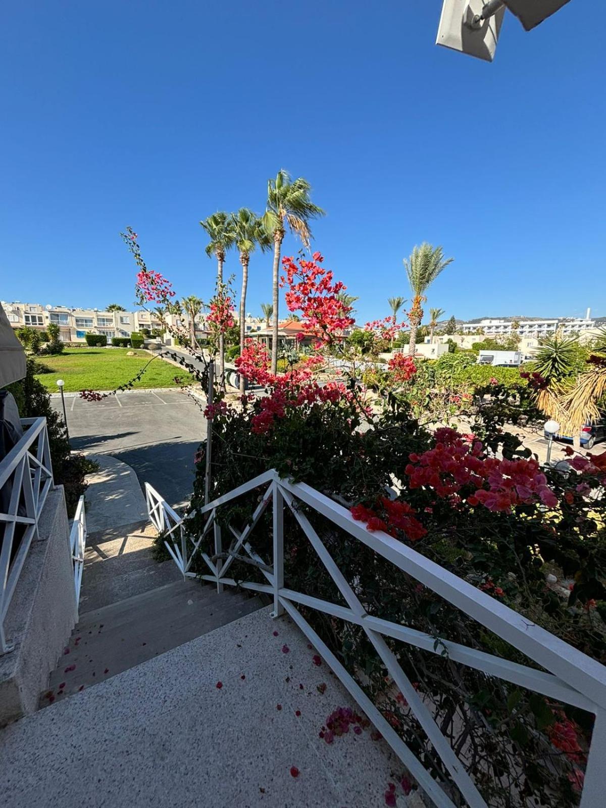 Horizon Bliss At Coral Bay Apartment Peyia Luaran gambar